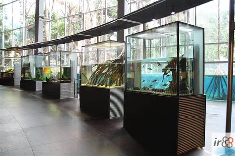 entradas al cosmocaixa|Museo de la Ciencia en Barcelona